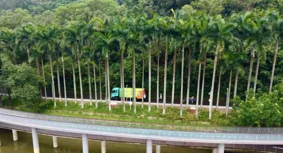 為綠色智慧作業(yè)！宇通環(huán)衛(wèi)純電動(dòng)洗掃車新品試駕會(huì)圓滿落幕