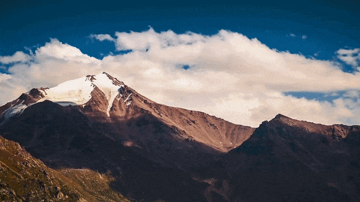 超級用戶計劃 | 1250公里黃金客運(yùn)線上“跑不壞”的中國客車 圖片